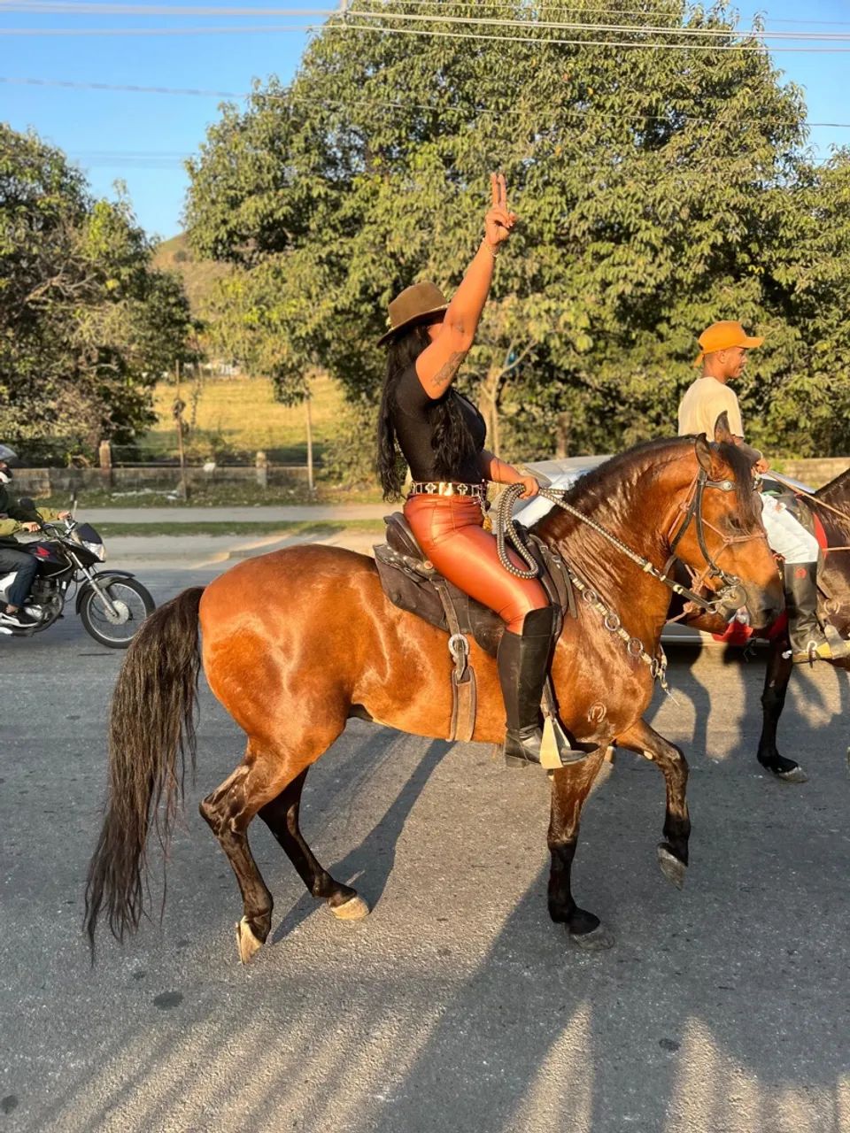Cavalo Mangalarga Marchador  - Foto 4