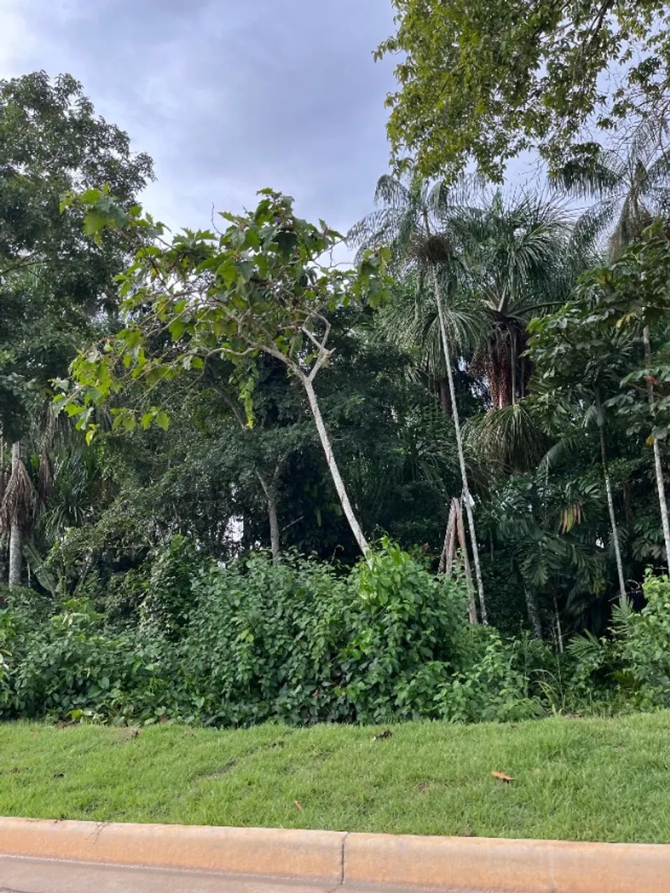 Condominio fechado de lotes ao lado da Coca Cola