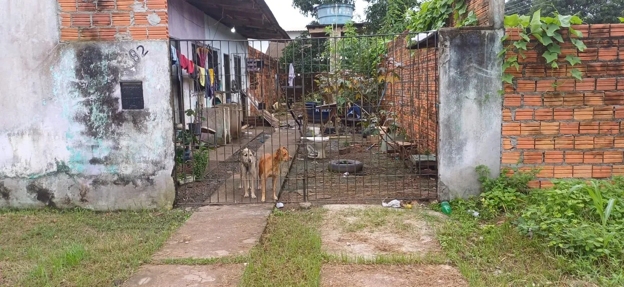 Terreno com apartamentos