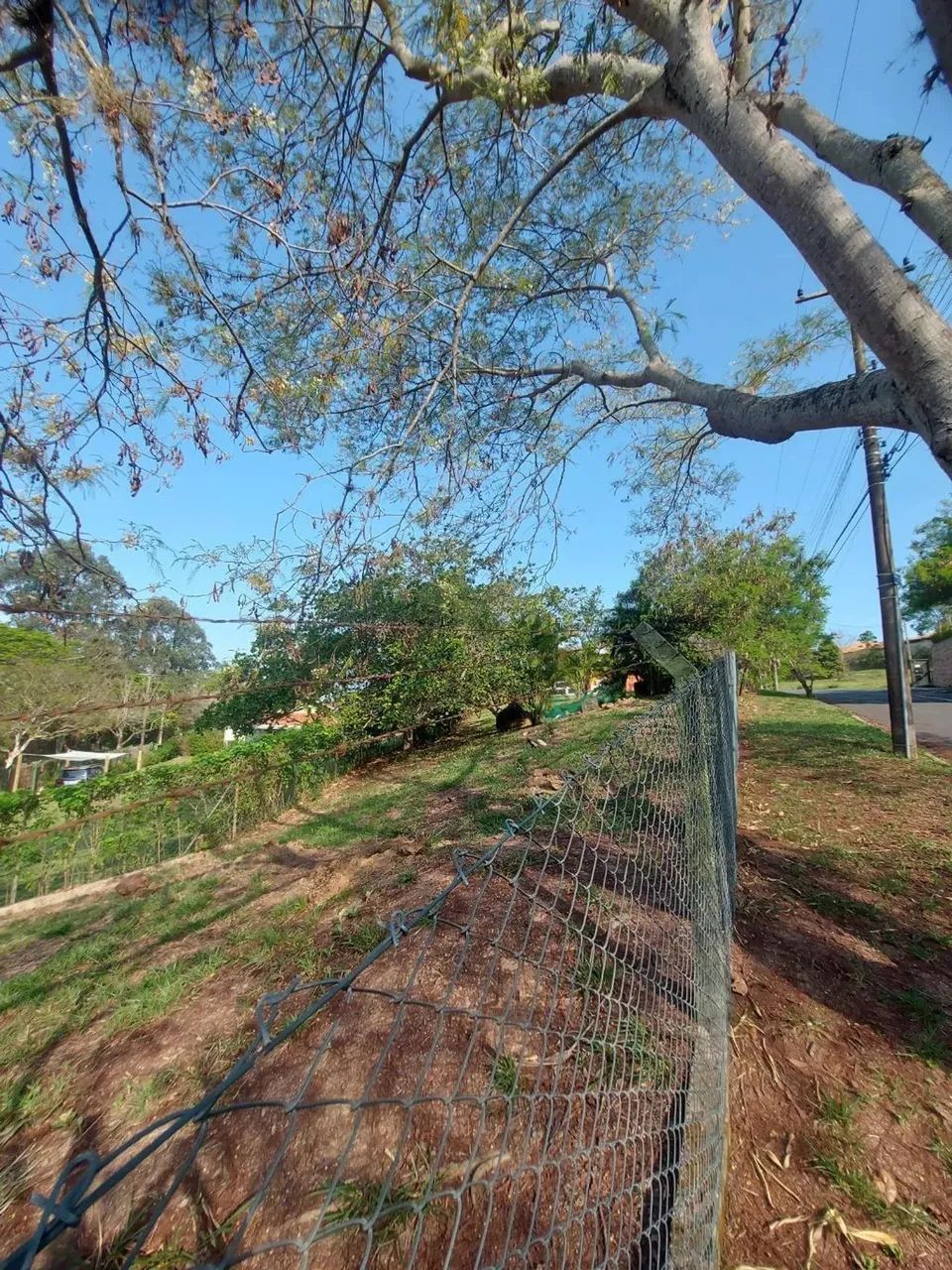 Terreno à venda no Colinas do Ermitage (Sousas), Campinas - Foto 3