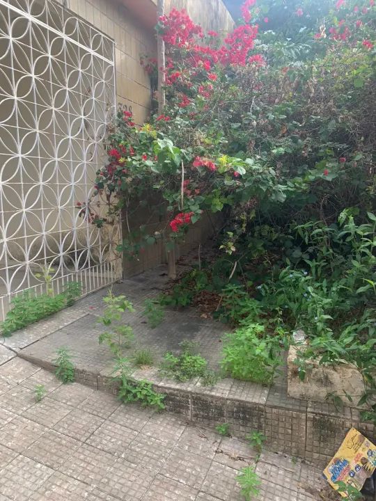 Casa para venda com 221 metros quadrados  em Amadeu Furtado - Fortaleza - Ceará - Foto 3