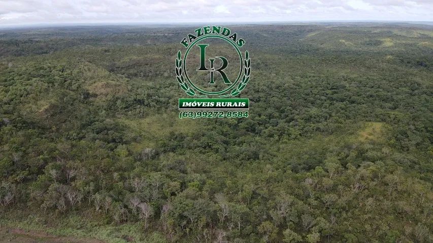 Fazenda 41 Alqueires Bruta Pecuária