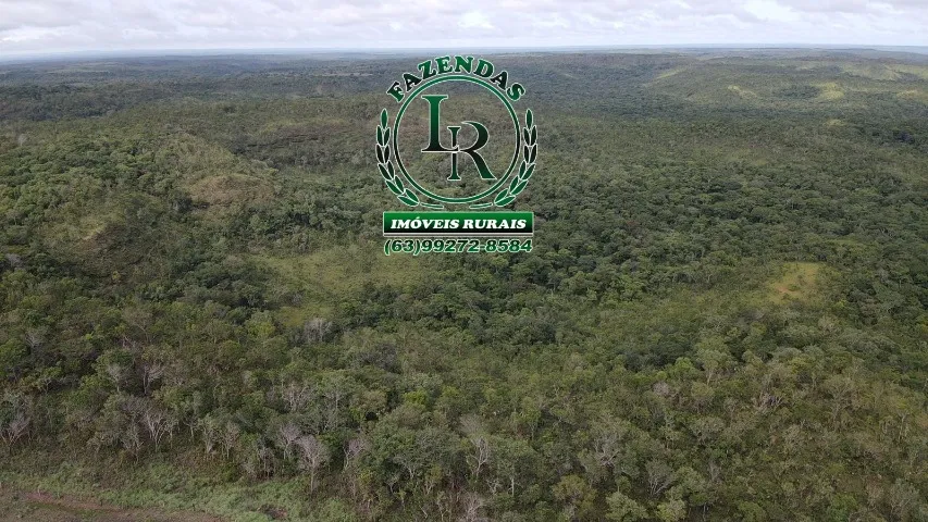 Fazenda 41 Alqueires Bruta Pecuária