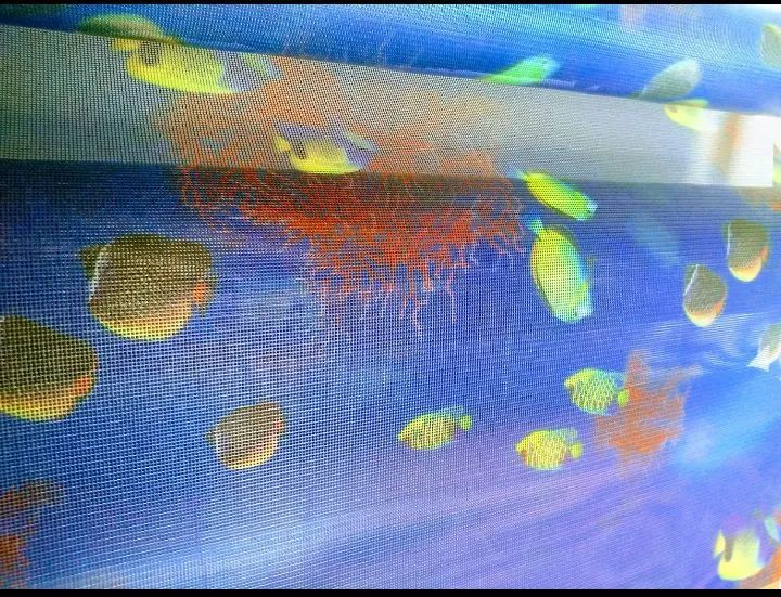 Tela com estampa resistente - Foto 2