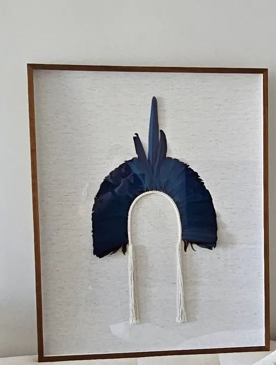 Quadro com cocar de pena natural
