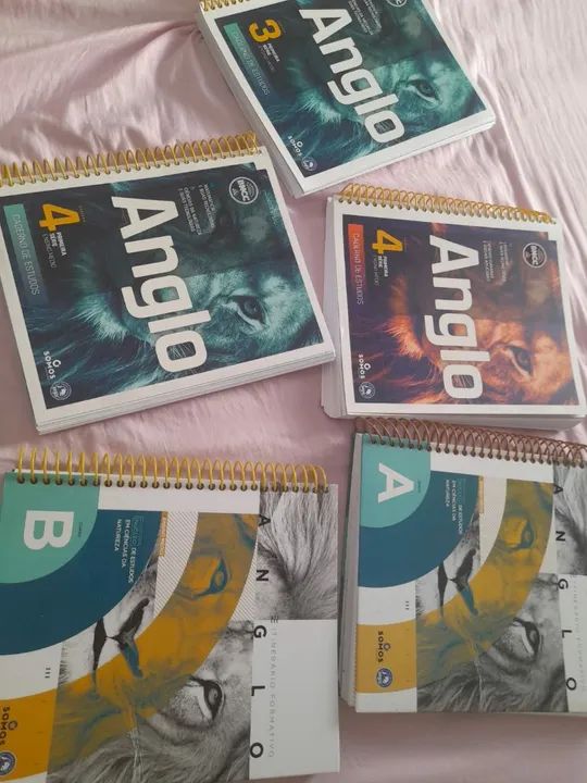 Livros Anglo Ensino Médio - 1ª Série - Completo - Foto 4