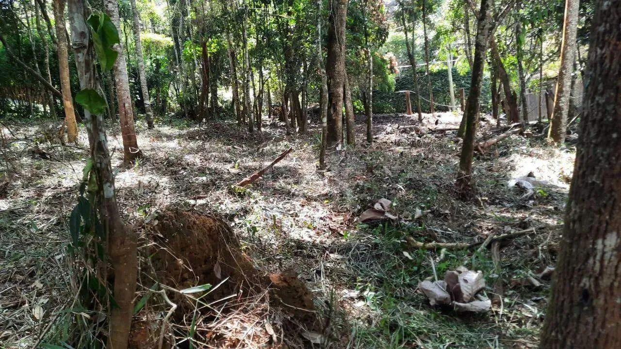 Lote em Condomínio à venda, Estância Serrana - Nova Lima/MG - Foto 10