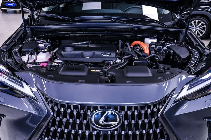 Lexus NX-350h Luxury 2.5 16V Aut. (hybrid), foto 6 de 19