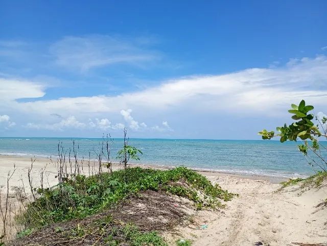 Terreno próximo à praia de Cumbuco - Foto 3
