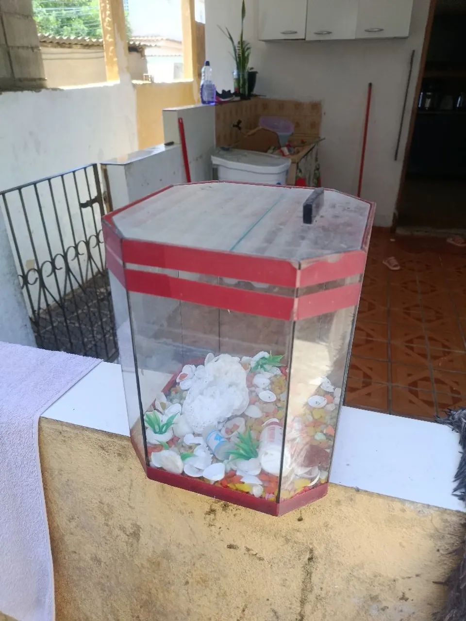 Aquario para beta  - Foto 2