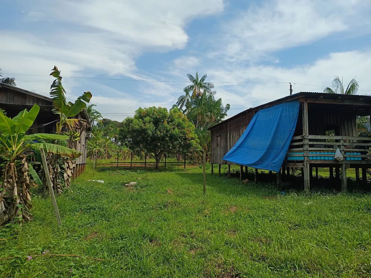 Terreno com casa  - Foto 5
