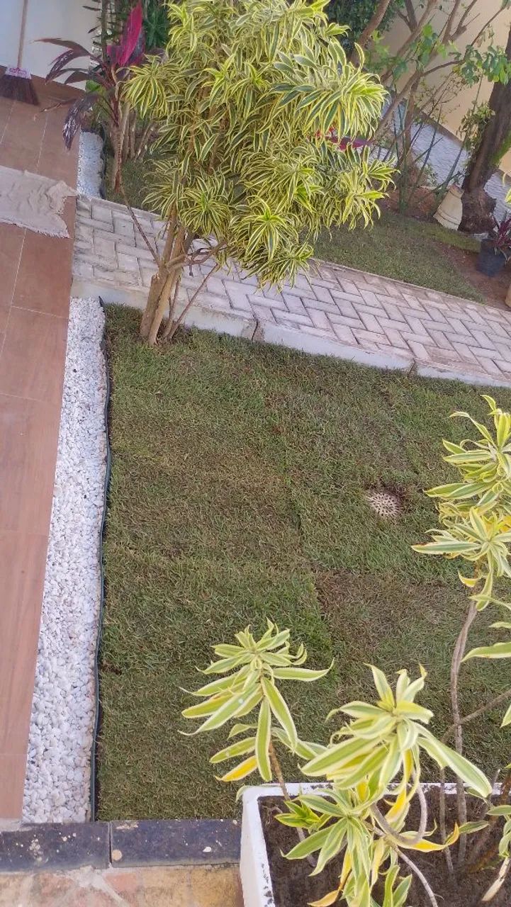 JDN JARDINS ?. - Foto 4