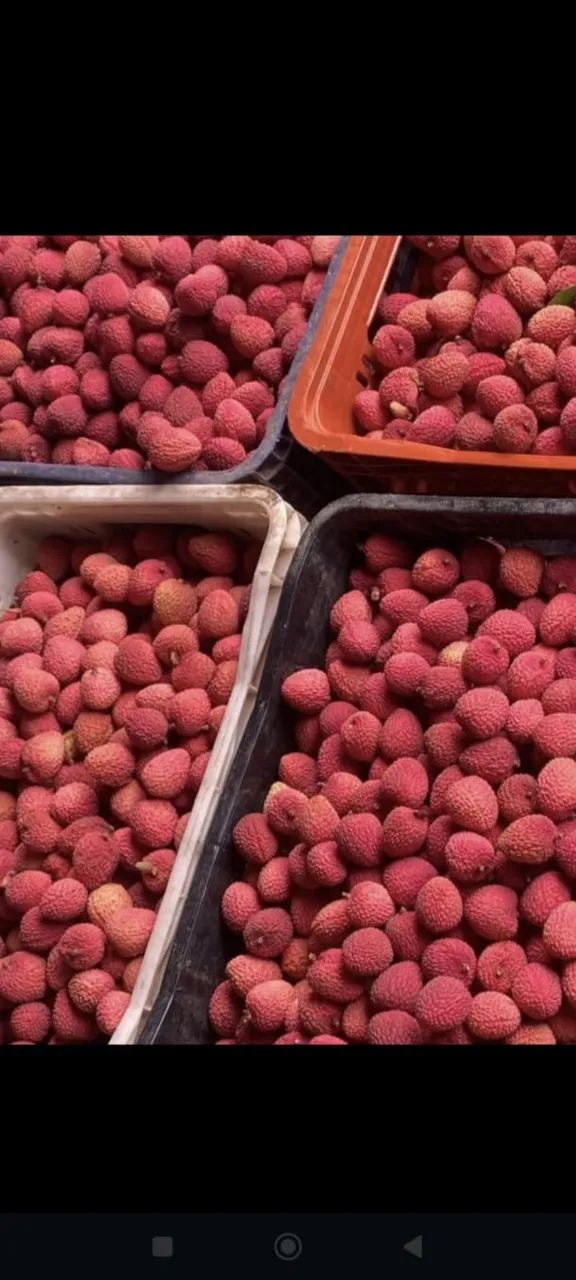 Produtos da roça  - Foto 2