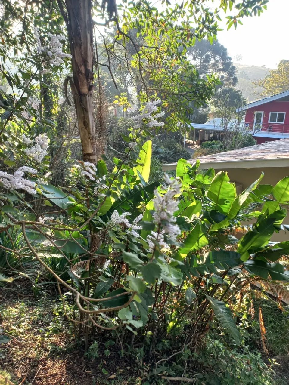 chácara - Vale Verde - Valinhos - Foto 5