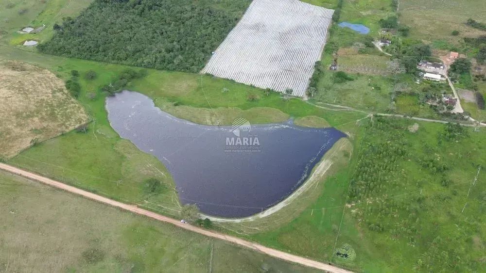 Fazenda com 29,9 hectares à venda em Sairé/PE! - Foto 3