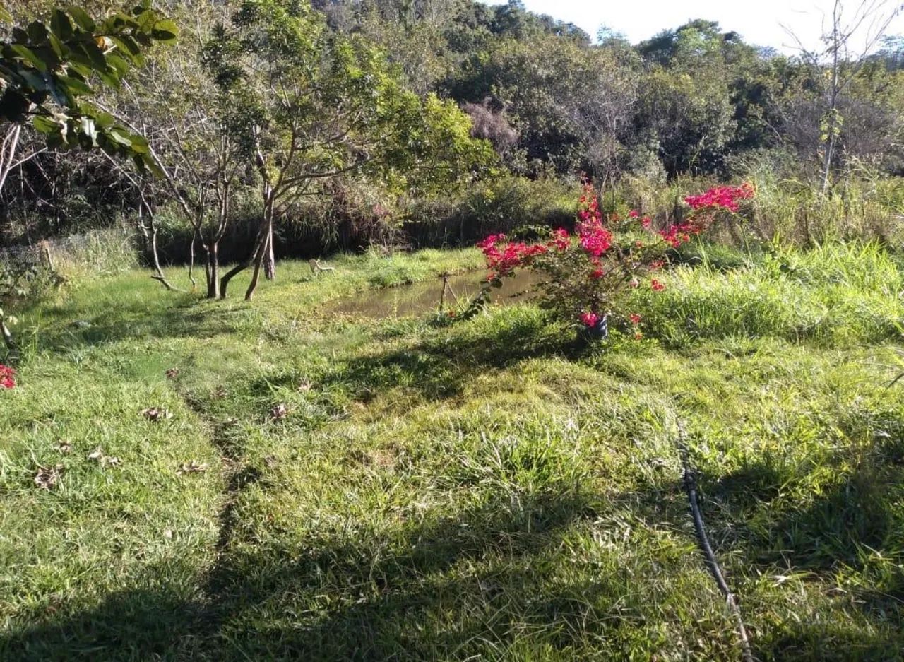 Vendo sítio com água e poço de peixe  - Foto 4