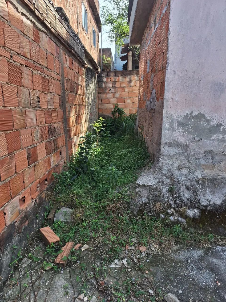 são três barracões - Foto 5