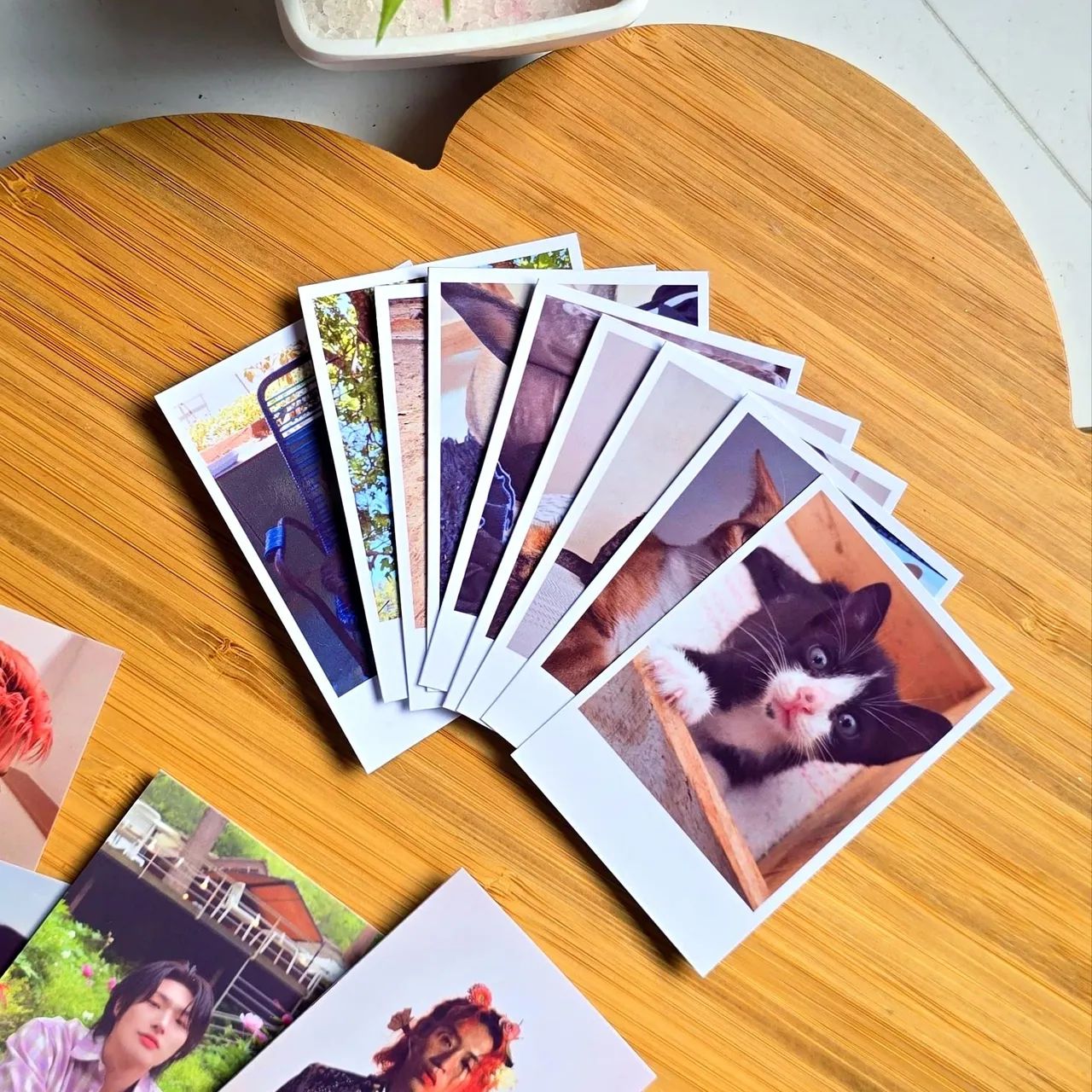 16 Mini polaroides ou photocards 