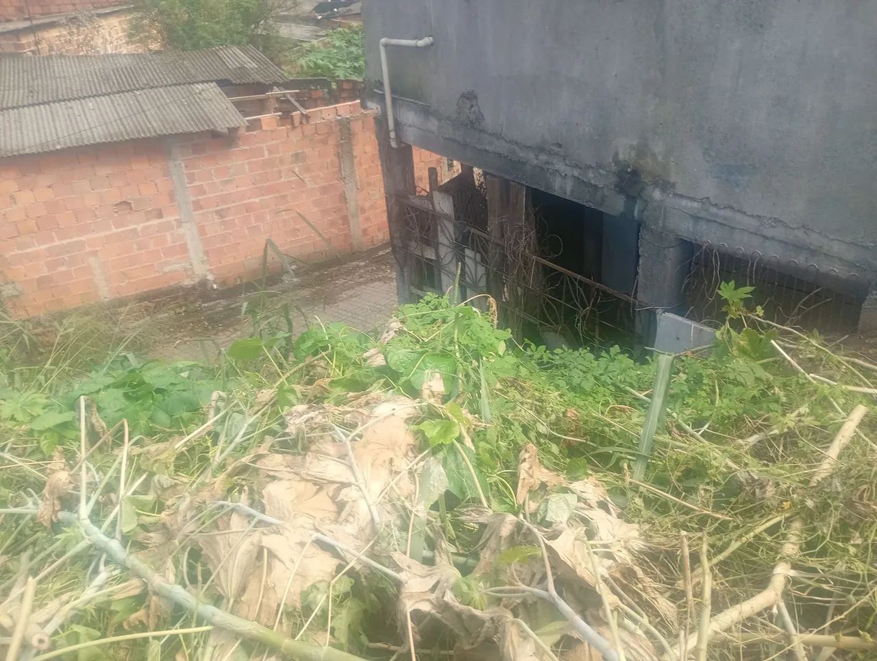 Terreno em Santomé de Paripe - Foto 3