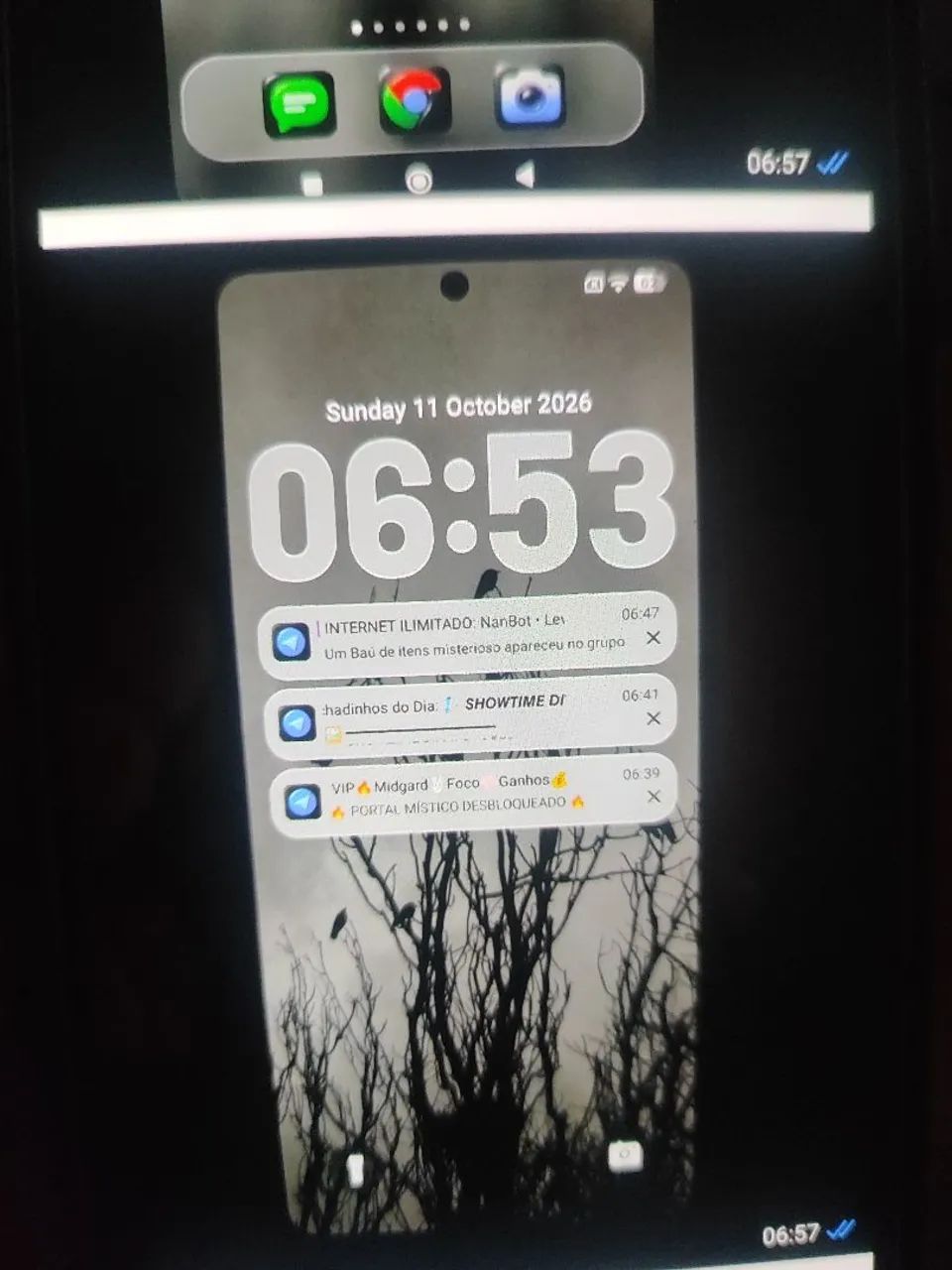 Celular 
