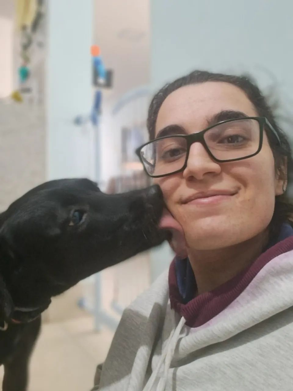 Dogwalker - Passeadora de Cães Região Centro-Sul SOMENTE
