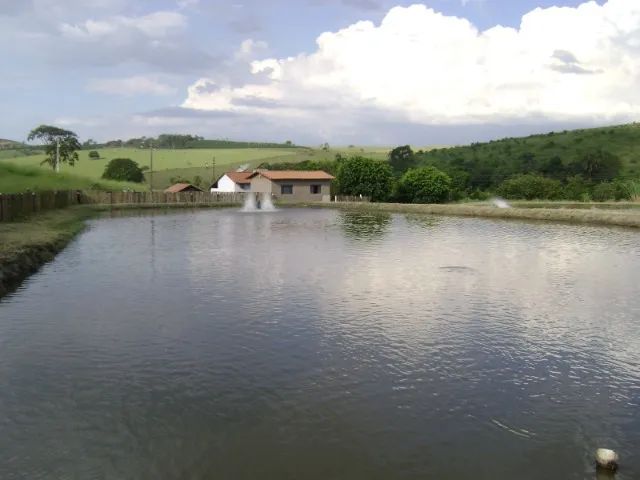 Sítio a venda em Caconde SP - Foto 4