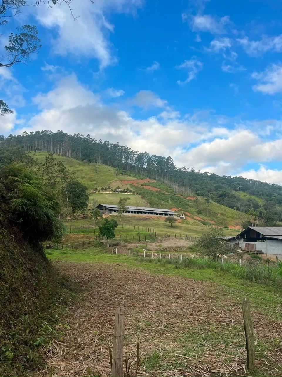 Terreno para Chácara  Três Riachos - Foto 3
