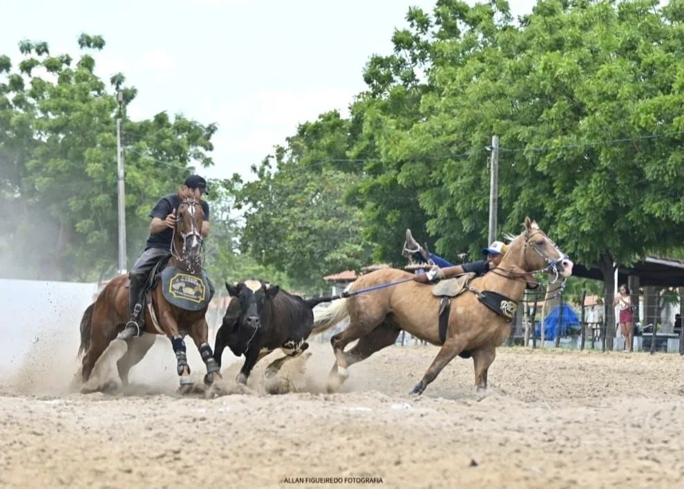 Cavalo de esteira PO - Foto 4