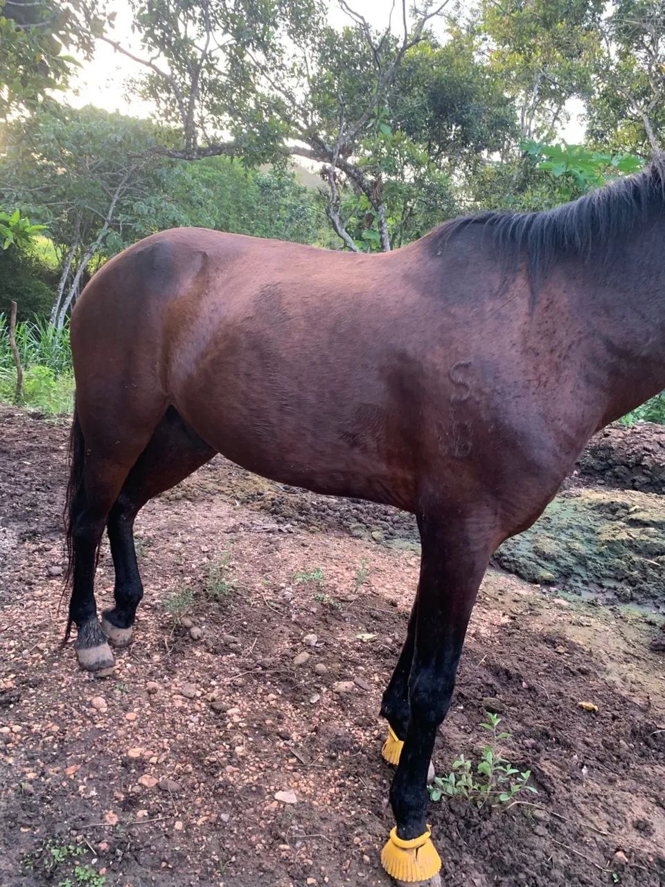 Vende-se ou troca  - Foto 5