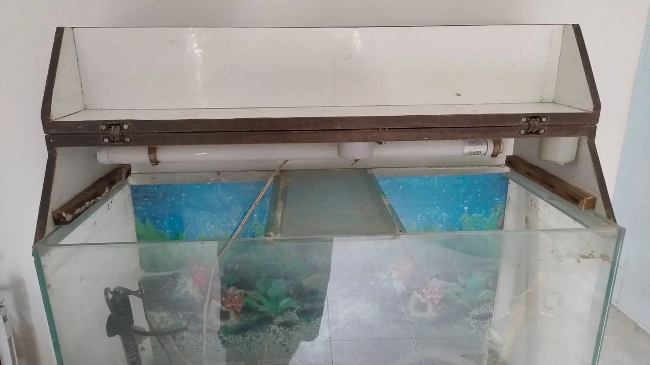 Vendo aquário grande65048974198657120
