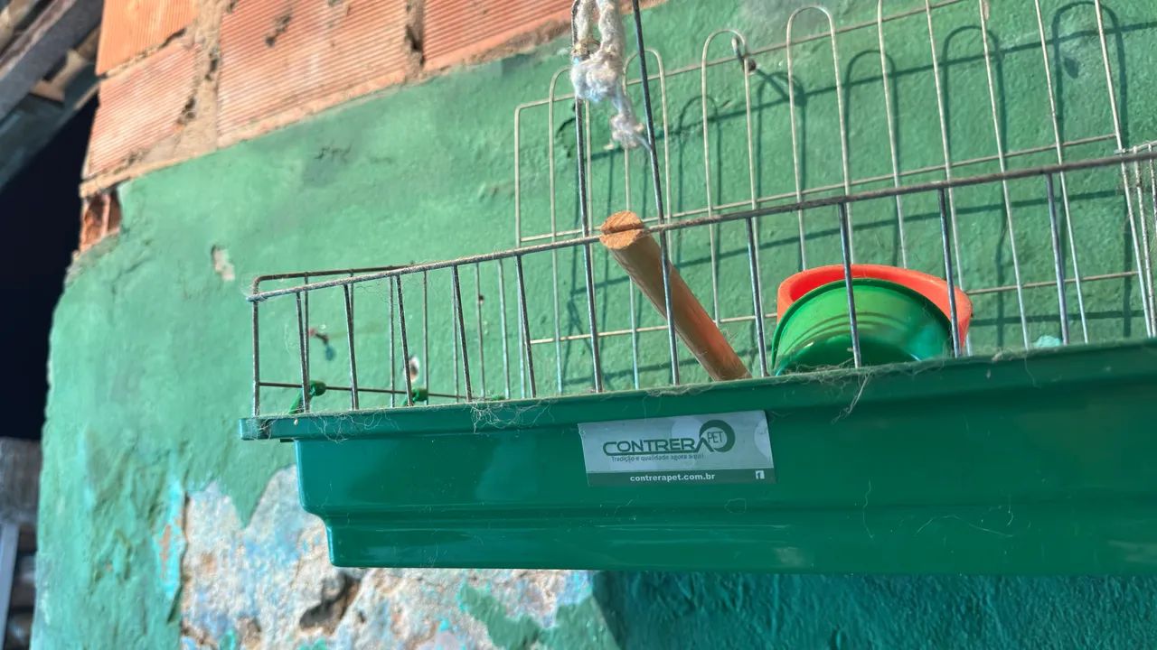 Gaiola/ Poleiro  - Foto 2