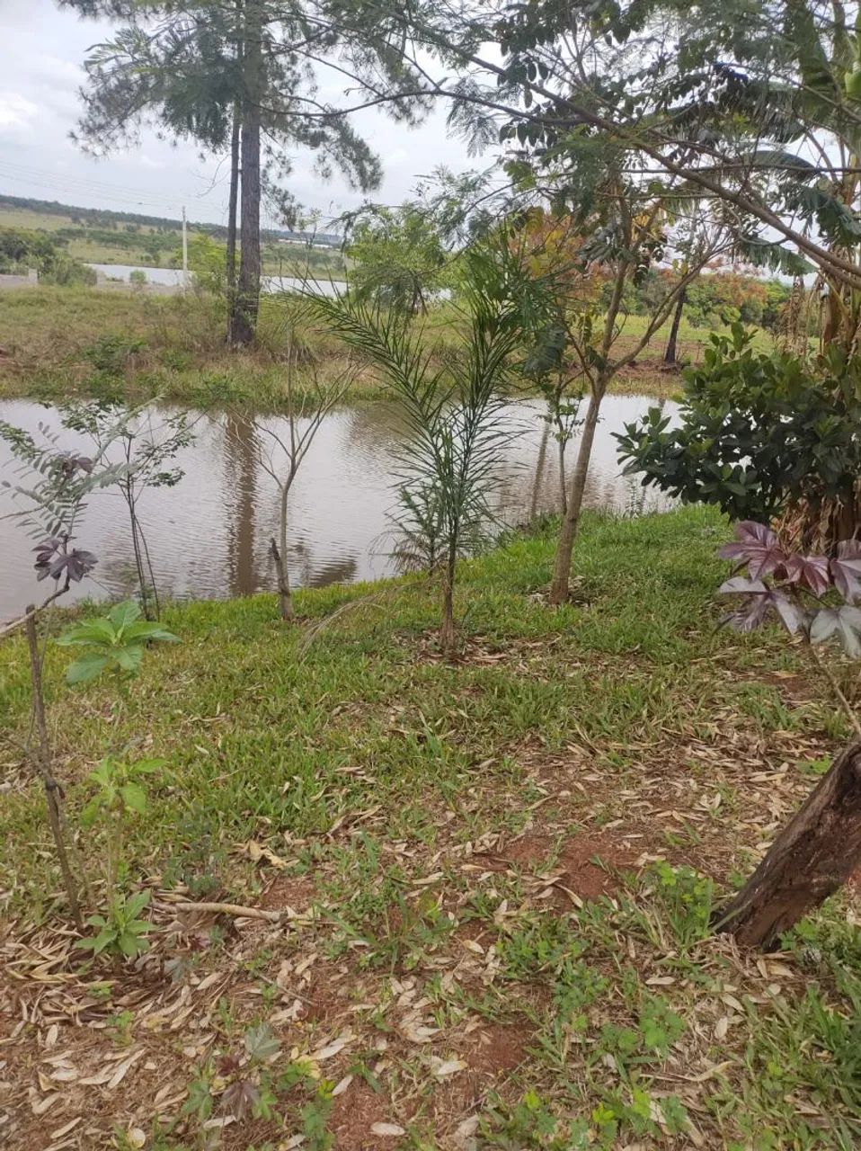 Chácara Encantadora em Águas de Santa - Foto 3