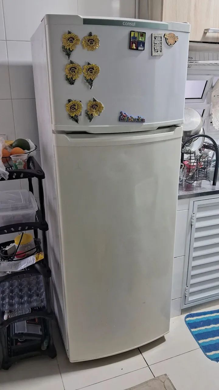 Geladeira duplex 