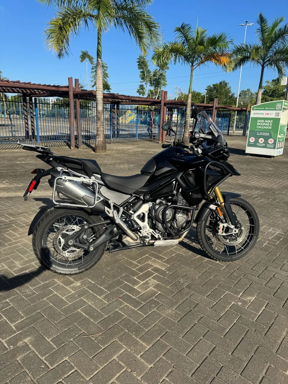 TIGER 1200 BLACK EDITION 2024