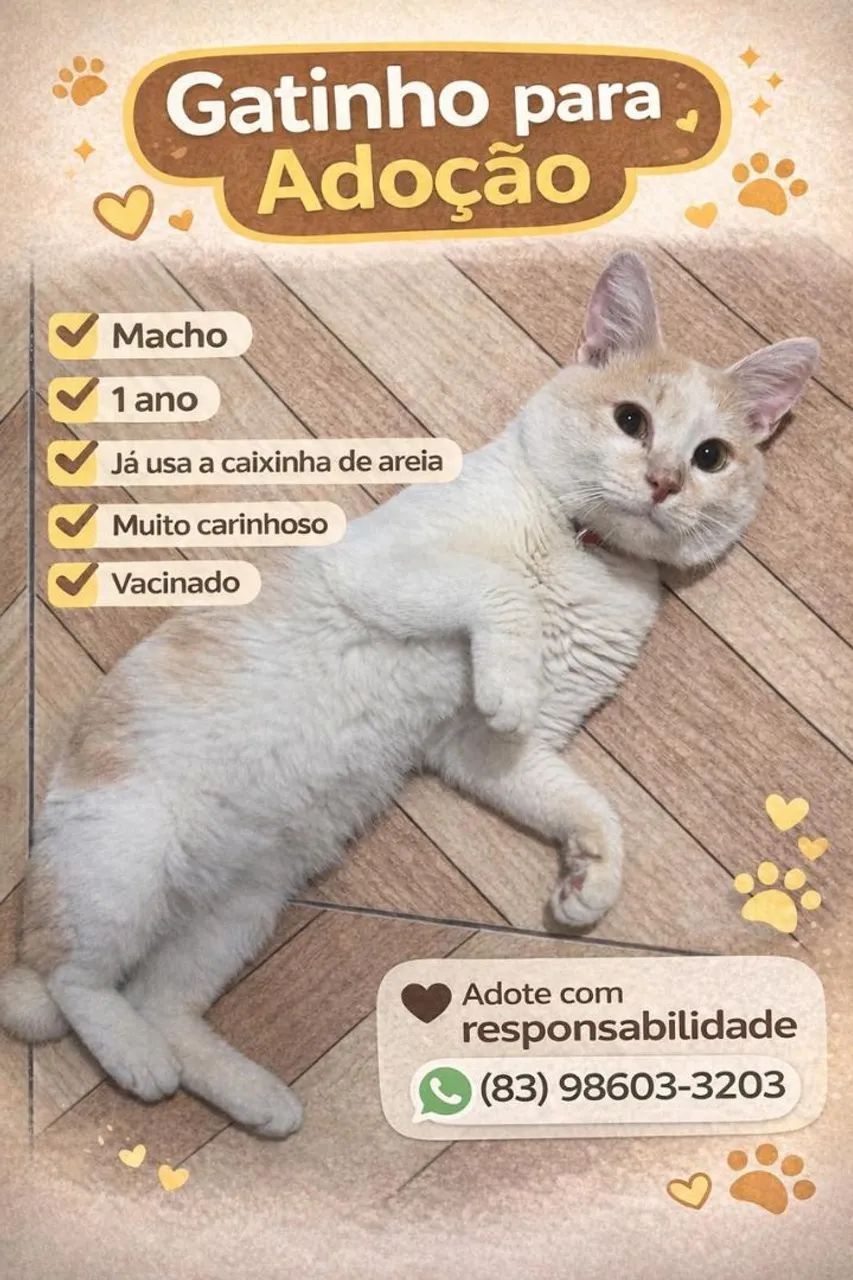 Adoção Responsável 