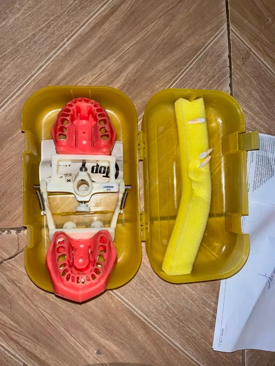 Manequim endodontico odontológico 