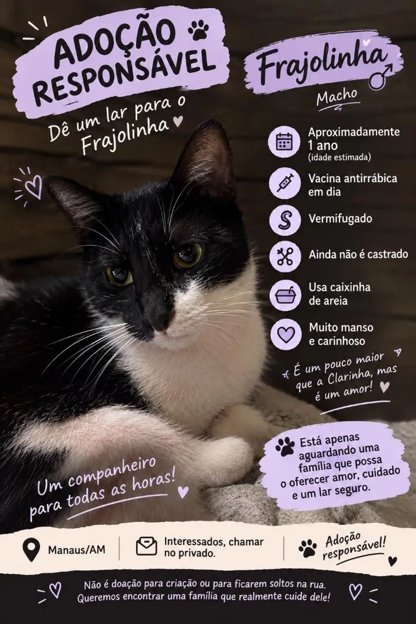 Doação responsável - Foto 3