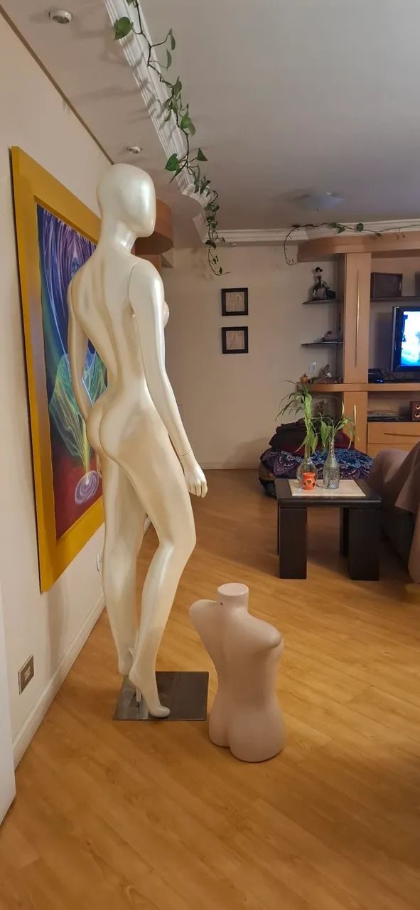 Vendo manequim corpo inteiro e busto - Foto 2