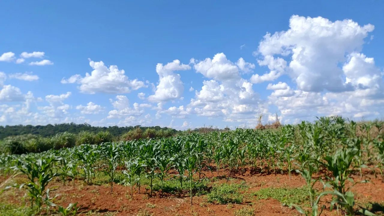 Terreno ideal para chácara de lazer  - Foto 3