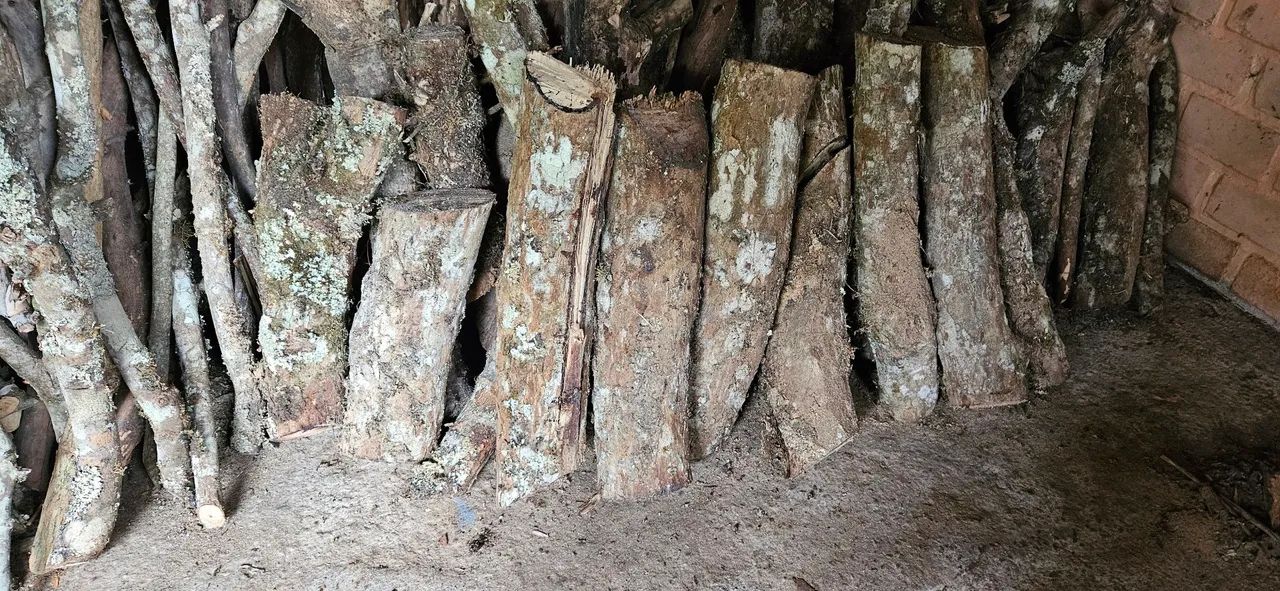 Lenha de eucalipto e pinus. Não entrego. - Foto 3