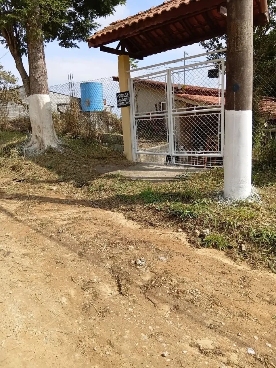 Foto - São Paulo - Jardim São Paulo(Zona Leste)