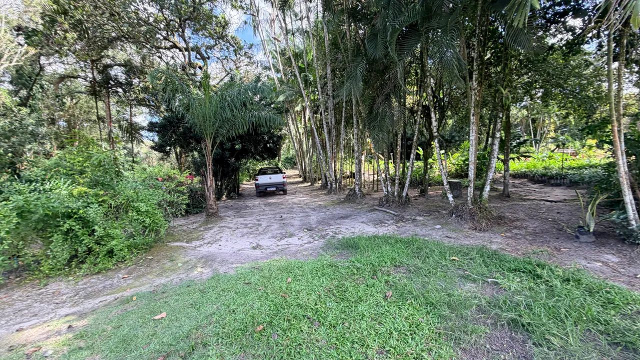 Maravilhosa Propriedade!  - Foto 5