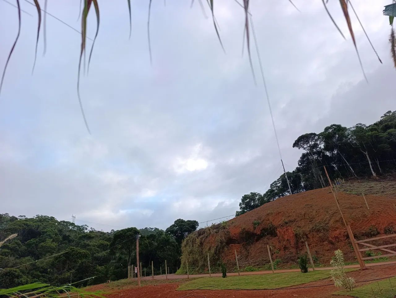 Vend terreno 3.000m²em holandinha 90mil - Foto 3