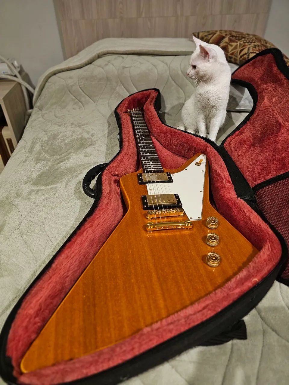 Epiphone 1958 Korina Explorer MiK '00 - Foto 2