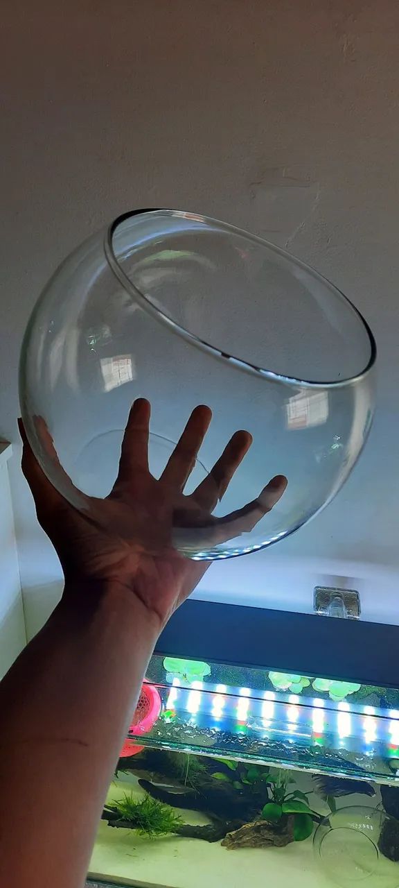 Aquário bola para peixe betta - Foto 2