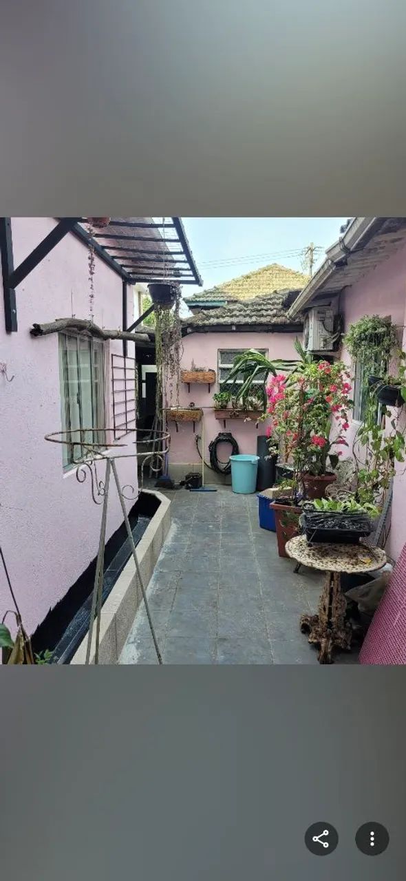 Vendo suporte para planta trepadeira - Foto 2