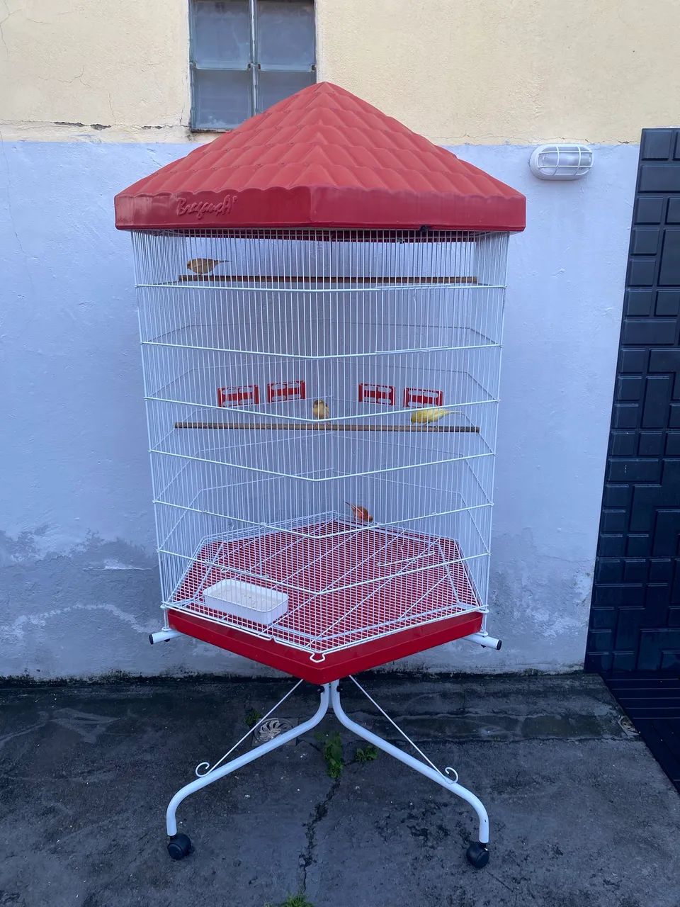 Viveiro sextavado  - Foto 3