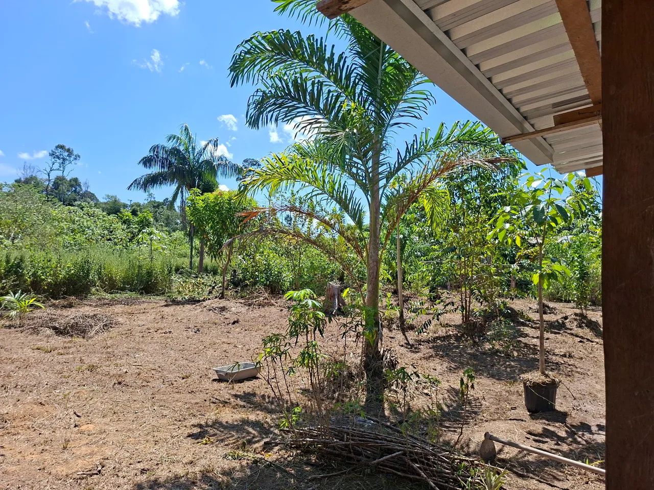 Lindo terreno pra sítio  - Foto 3