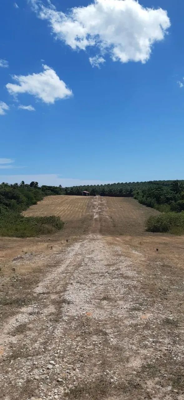 Lote na Lagoinha  - Foto 4