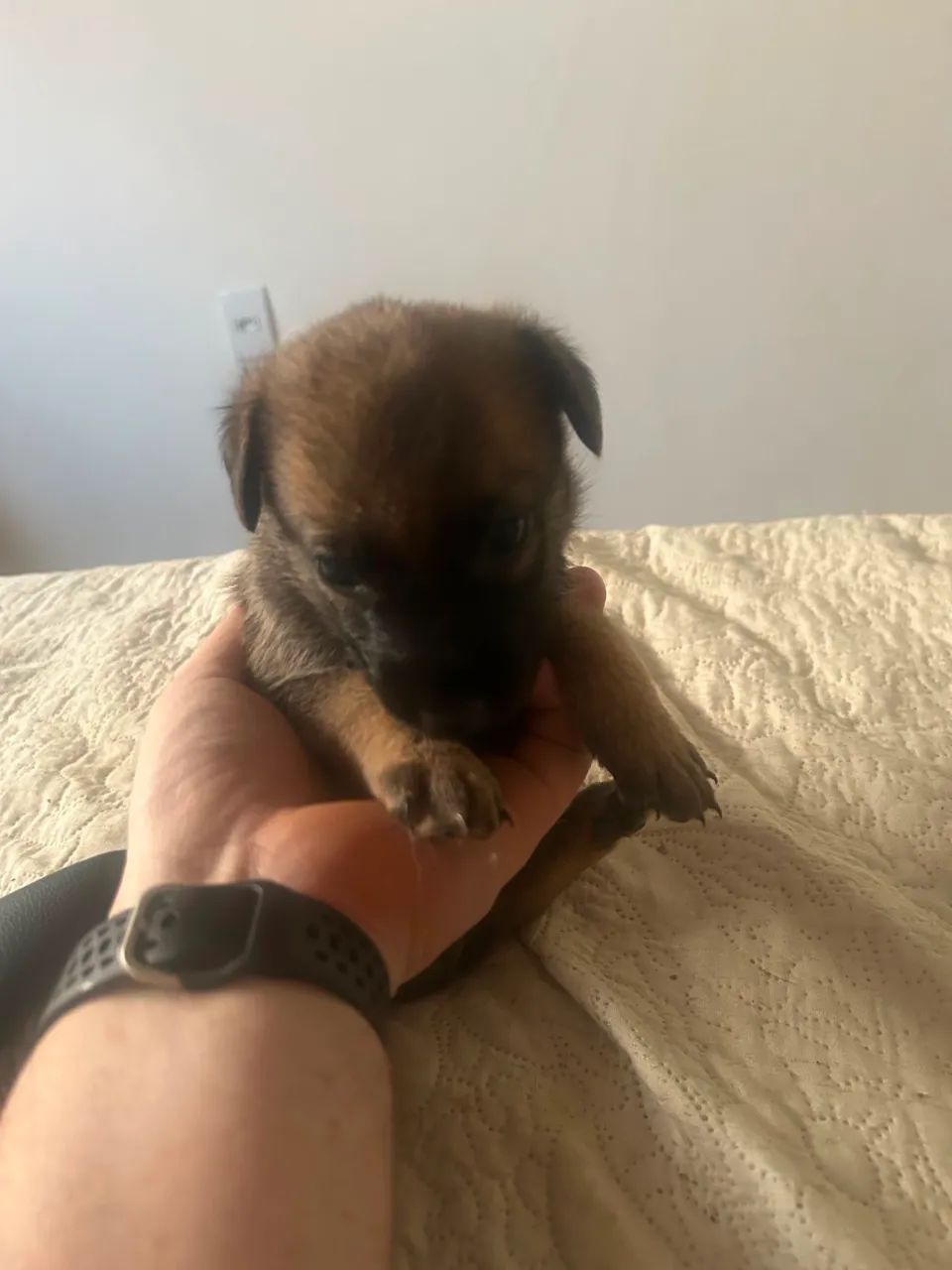 Disponível  - Foto 3